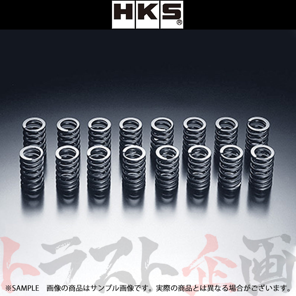 HKS バルブ スプリング ##213121353 - トラスト企画
