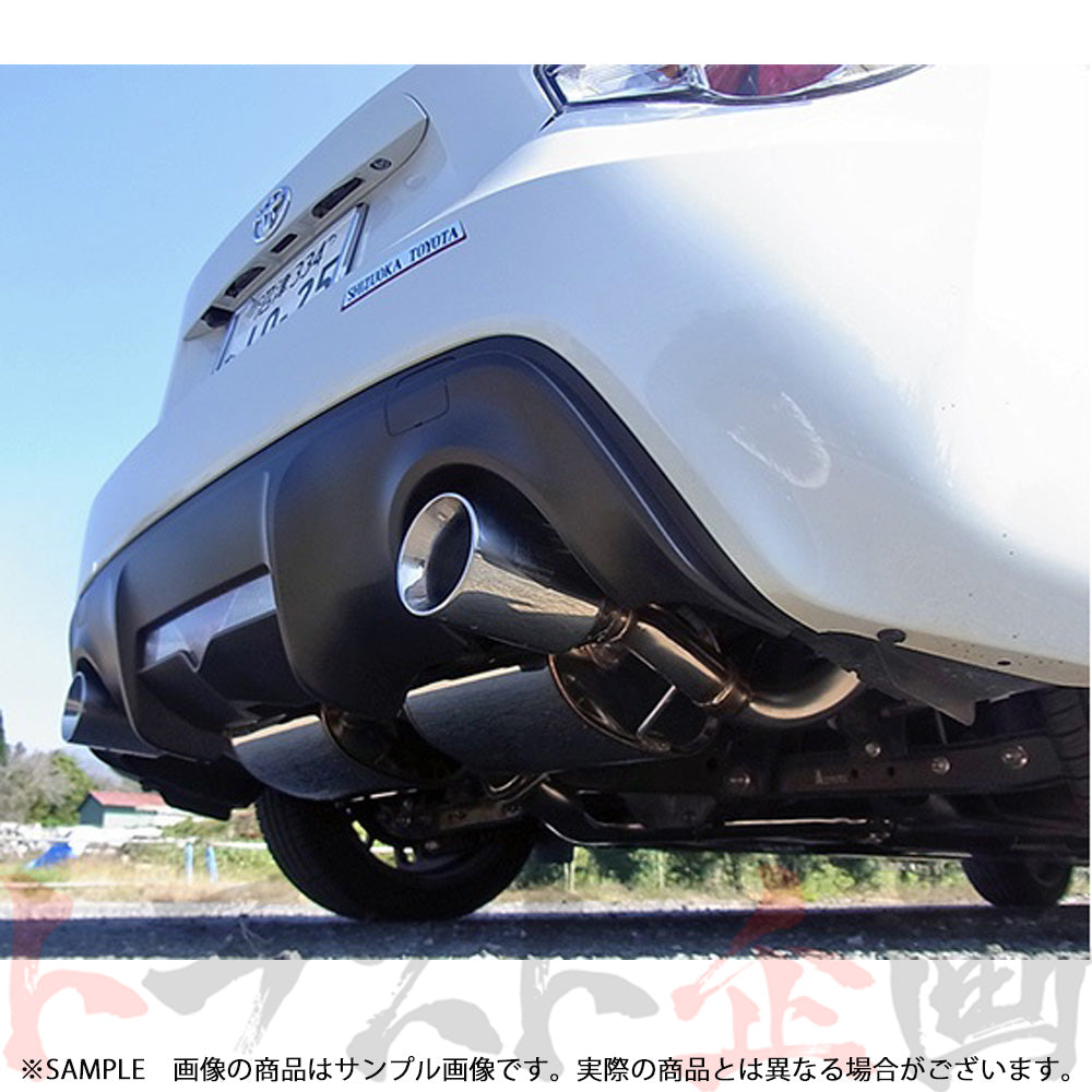 HKS リーガマックススポーツ マフラー ハチロク 86 BRZ ZN6/ZC6 ##213141903 - トラスト企画