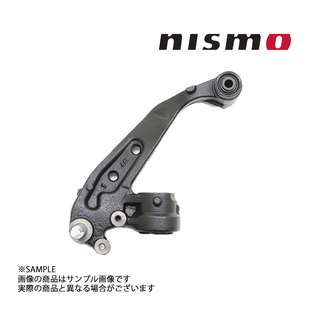 NISMO ニスモ ヘリテージ エクステンション コンプリート 助手席側 スカイライン GT-R BNR34 1999/1- ##660152071 - トラスト企画