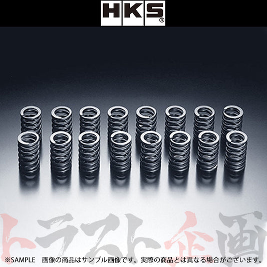 HKS バルブ スプリング ##213121354 - トラスト企画