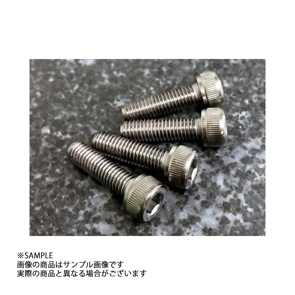 HKS トランジスターカバー ガンメタルグレー RB26DETT ##213122414 - トラスト企画